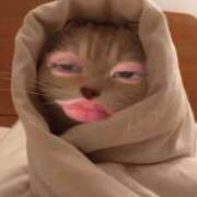 ヒメ日記 2025/12/23 19:36 投稿 みに マリン宇都宮店