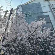 ヒメ日記 2026/03/14 22:23 投稿 井上りょう 渋谷エオス