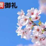 ヒメ日記 2026/03/21 11:00 投稿 井上りょう 渋谷エオス