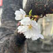 ヒメ日記 2026/03/27 09:51 投稿 井上りょう 渋谷エオス