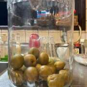 ヒメ日記 2026/04/14 21:00 投稿 井上りょう 渋谷エオス