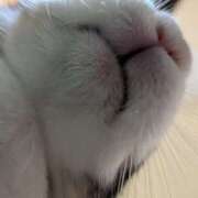 ヒメ日記 2025/12/08 11:37 投稿 ふわり クンニ専門店 おクンニ学園 池袋校