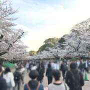 ヒメ日記 2026/04/04 19:21 投稿 あお I♥KASUKABE(アイラブ春日部)