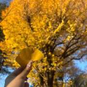 ヒメ日記 2025/12/11 21:52 投稿 うみか 多恋人 新宿店