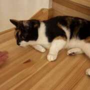 ヒメ日記 2026/01/01 09:15 投稿 うみか 多恋人 新宿店