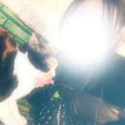 ヒメ日記 2026/01/03 11:19 投稿 うみか 多恋人 新宿店