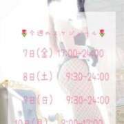 ヒメ日記 2026/08/06 21:38 投稿 ミア【溢れる魅力のエロ天使】 バニーコレクション 中洲店