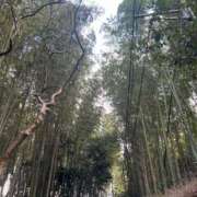 ヒメ日記 2026/01/15 16:25 投稿 はるき 熟女家 東大阪店（布施・長田）