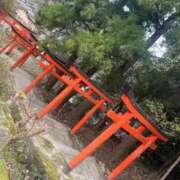 ヒメ日記 2026/03/12 17:35 投稿 はるき 熟女家 東大阪店（布施・長田）