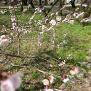 ヒメ日記 2026/04/10 17:45 投稿 はるき 熟女家 東大阪店（布施・長田）