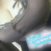 ヒメ日記 2025/12/16 01:20 投稿 ゆみ 僕らのぽっちゃリーノin大宮