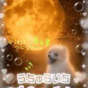 ヒメ日記 2026/01/03 10:30 投稿 みちこ シークレットタッチ