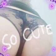 ヒメ日記 2026/02/25 12:27 投稿 百瀬奈々 こあくまな熟女たち 京都店(KOAKUMAグループ)