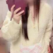 ヒメ日記 2026/01/31 11:36 投稿 みさき 三浦屋別館