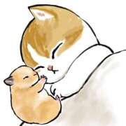 ヒメ日記 2025/12/23 23:37 投稿 べりぃ 日本橋・谷九サンキュー