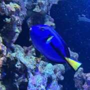 ヒメ日記 2026/02/23 21:57 投稿 べりぃ 日本橋・谷九サンキュー