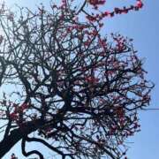 ヒメ日記 2026/03/18 02:27 投稿 べりぃ 日本橋・谷九サンキュー