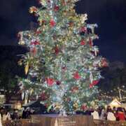 ヒメ日記 2025/12/23 13:32 投稿 妃 葉留 MADAM RENA 名古屋