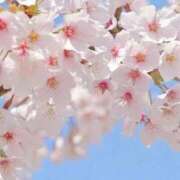 ヒメ日記 2026/03/14 11:32 投稿 みゆ 出会い系人妻ネットワーク さいたま～大宮編