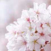 ヒメ日記 2026/03/28 18:42 投稿 みゆ 出会い系人妻ネットワーク さいたま～大宮編