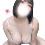 ヒメ日記 2026/02/10 12:18 投稿 はる Salon du M-えっちなお姉さんのM性感デリバリー-五反田店