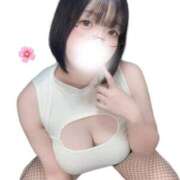 ヒメ日記 2026/02/12 18:08 投稿 はる Salon du M-えっちなお姉さんのM性感デリバリー-五反田店