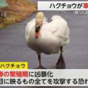 ヒメ日記 2026/03/06 10:49 投稿 りか コンカフェ×オナクラ あいこねくと