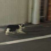 ヒメ日記 2026/06/24 21:59 投稿 りか コンカフェ×オナクラ あいこねくと