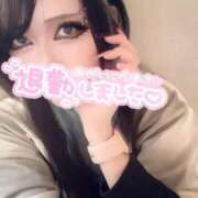 ヒメ日記 2025/12/12 02:11 投稿 しおん 千葉SMクラブ女王様とM男