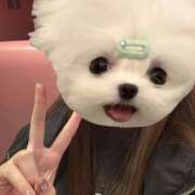 ヒメ日記 2025/12/15 01:11 投稿 さら みつばちマーヤZ