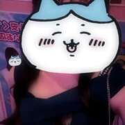 ヒメ日記 2026/01/17 01:28 投稿 さら みつばちマーヤZ