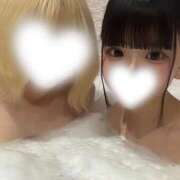 ヒメ日記 2026/02/24 03:41 投稿 キララ ピンクコレクション大阪