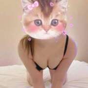 ヒメ日記 2025/12/10 13:00 投稿 あいら 秋葉原鑑賞ガール