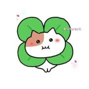 ヒメ日記 2025/12/08 21:35 投稿 まい 石庭