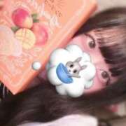 ヒメ日記 2025/12/08 23:24 投稿 まい 石庭