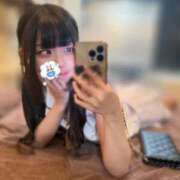 ヒメ日記 2025/12/10 16:00 投稿 まい 石庭