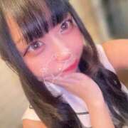 ヒメ日記 2025/12/20 14:50 投稿 まい 石庭