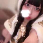 ヒメ日記 2025/12/21 09:10 投稿 まい 石庭