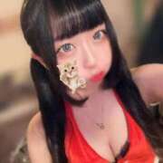 ヒメ日記 2025/12/21 12:00 投稿 まい 石庭