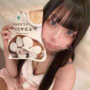 ヒメ日記 2025/12/22 15:53 投稿 まい 石庭