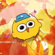 ヒメ日記 2026/01/19 10:50 投稿 まい 石庭