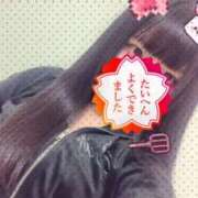 ヒメ日記 2026/05/04 14:04 投稿 まい 石庭