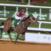 ヒメ日記 2026/02/15 08:18 投稿 佳代子(かよこ) PLUS十三店