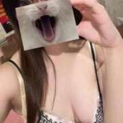 もえ にゃーん 新宿プチドール