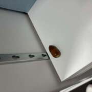 ヒメ日記 2026/01/18 17:59 投稿 さくら エマニエル秋葉原