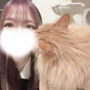 ヒメ日記 2026/02/13 18:16 投稿 さくら エマニエル秋葉原