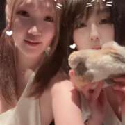 ヒメ日記 2026/02/20 22:29 投稿 さくら エマニエル秋葉原