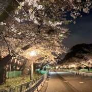 ヒメ日記 2026/04/09 17:49 投稿 さくら エマニエル秋葉原