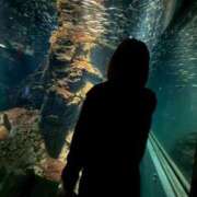 ヒメ日記 2026/04/06 16:13 投稿 リナ べっぴんコレクション