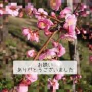 ヒメ日記 2026/01/10 17:57 投稿 三浦春奈 五十路マダム 博多店